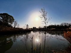 -大兴滨河森林公园