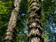 -崀山风景名胜区