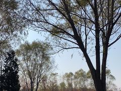 -北坞公园