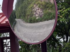 -海南热带雨林国家公园吊罗山景区