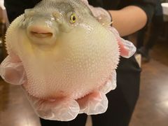 -肆月河豚·新淮扬(金融街店)
