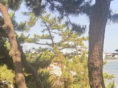 -青岛第一海水浴场