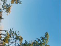 -竹上云想餐厅民宿