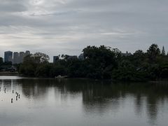 -江心屿景区