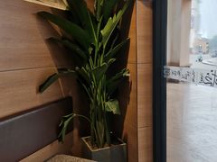 -茶颜悦色(环球奥特莱斯店)