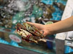 -巧克力渔家.小船海鲜胶东菜(万平口店)