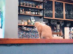 -咖法森林·咖啡  酒吧(天河店)