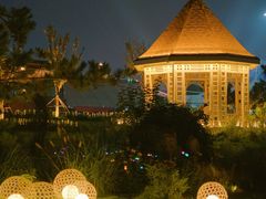 -第35届青岛国际啤酒节