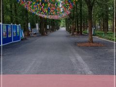-东平国家森林公园