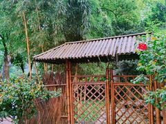 -静安公园(静安寺街道)