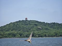 -水上明月·湖景餐厅