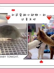 -Moni星球萌宠·小马宝莉·灵蛇·高端高阶全萌宠互动体验俱乐部(红豆国际广场店)