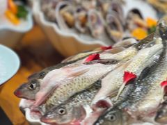 -一斗火锅·招财羊毛肚(北温泉九号店)