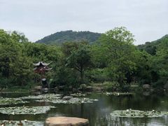 -白马涧龙池景区