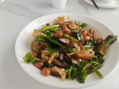 -鸽小宝(深圳首店)