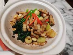 -青雅中餐厅(大连金石滩绿发希尔顿度假酒店)