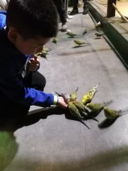 点击看大图 -酷嗒动物文化乐园(cutezoo西溪乐天城店)