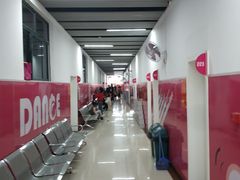 -陕西省小天鹅艺术团