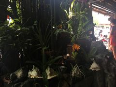 -自然餐厅(Phuket)