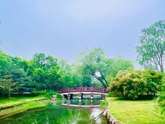 -北坞公园