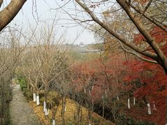 -白马涧龙池景区