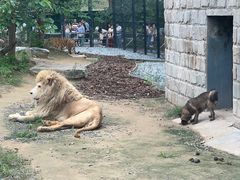 -北京野生动物园
