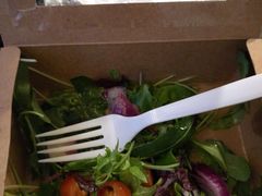 -Pedro's House of Lamb(基督城)