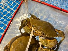 -驻海渔市(置信店)