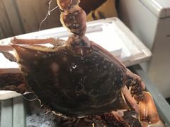 -红星码头