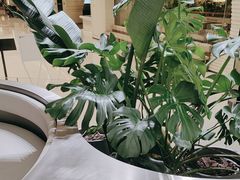 -枕水江南(铁西万象汇店)