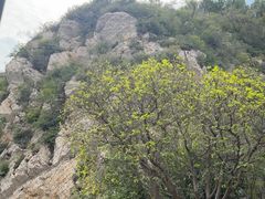 -佛慧山