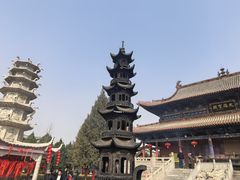 -大槐树寻根祭祖园