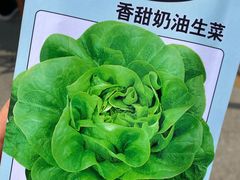 -李村大集