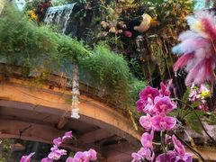 -正佳雨林生态植物园