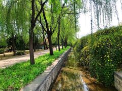 -洛阳市隋唐城遗址植物园