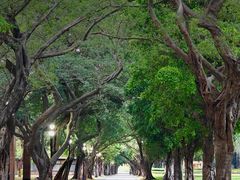 -中山大学广州校区南校园怀士堂