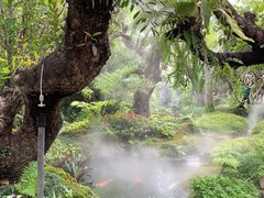 -Chom Cafe and Restaurant