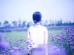 -杭州湾海上花田景区