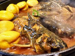 招牌铁锅昂刺鱼-上关雪東北菜(中房金谊店)