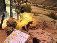 -正佳雨林生态植物园