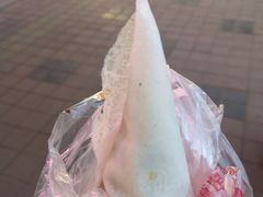 -老王芙蓉蛋卷饼(万达店)