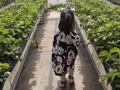 -甜心庄园·甜心草莓采摘园(西青中北店)