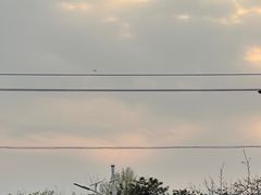 -尚庄度假村·庭台树下·户外烧烤·团建CS·轰趴营地(上庄水库店)