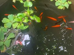 -伊隆斋(什刹海店)