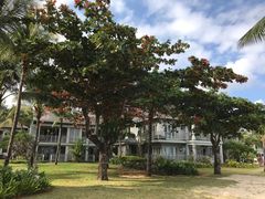 -塞尔夫岛