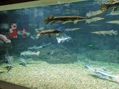 -绍兴梦享海洋公园