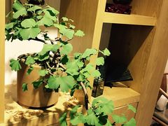 -柴务处·柴犬主题狗咖