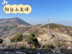 -阳台山自然风景区