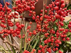 -双季花艺园艺市场(浦东店)