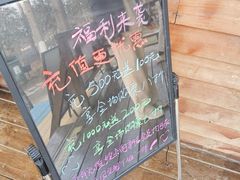 -合肥滨湖国家森林公园